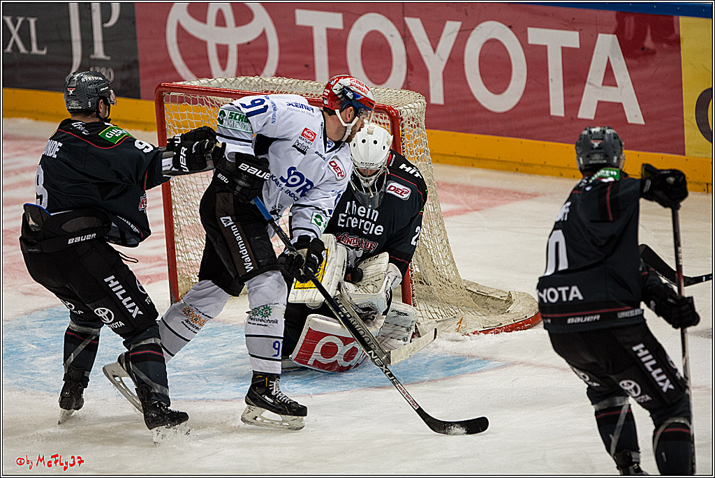Koelner Haie - Schwenninger Wild Wings, 11.12.2016